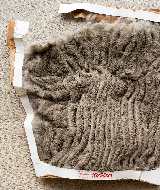 Indoor air problem illustration