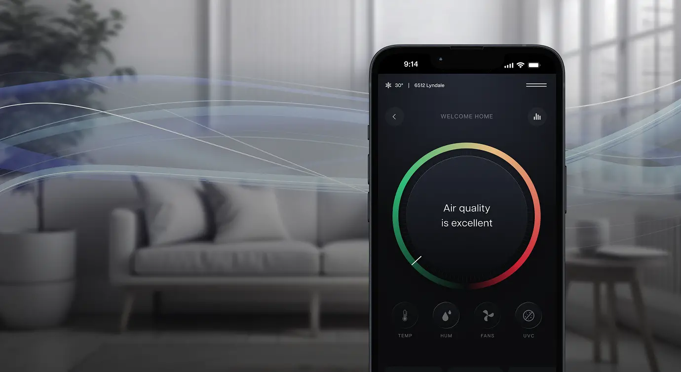 Vibrant senses illustration