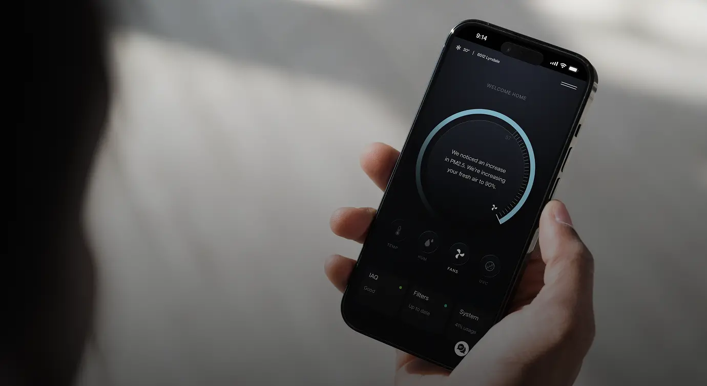 Vibrant understands illustration
