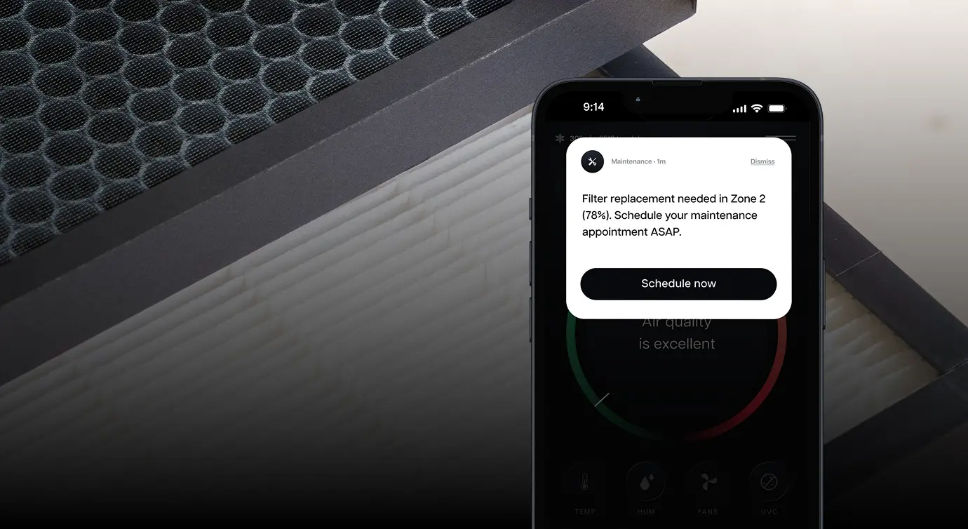 Vibrant protects illustration