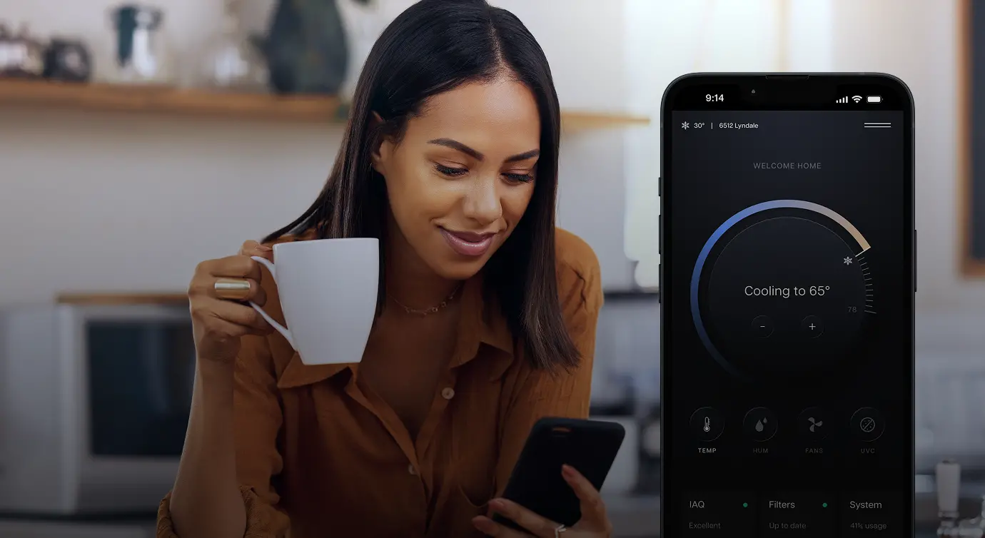 Vibrant optimizes illustration